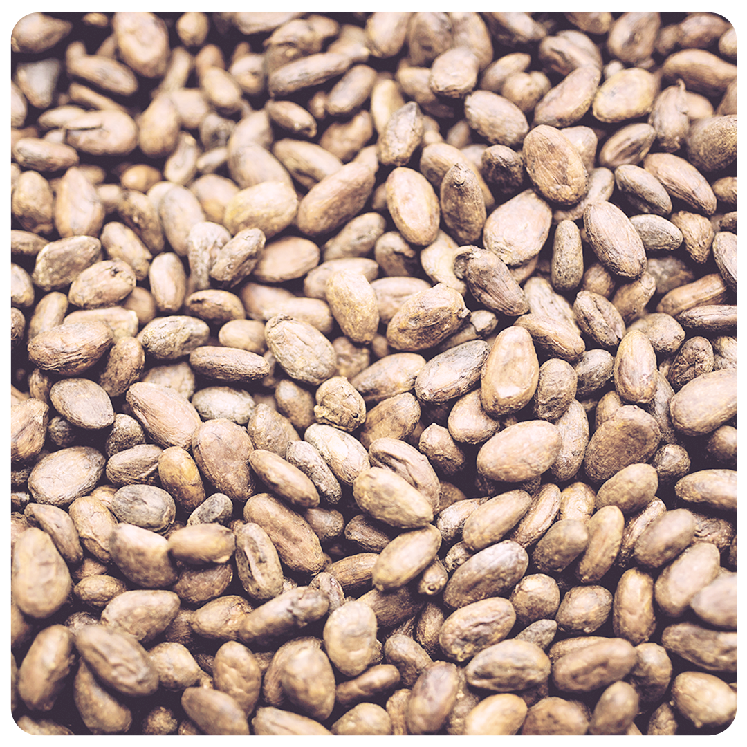 Flow Cacao
