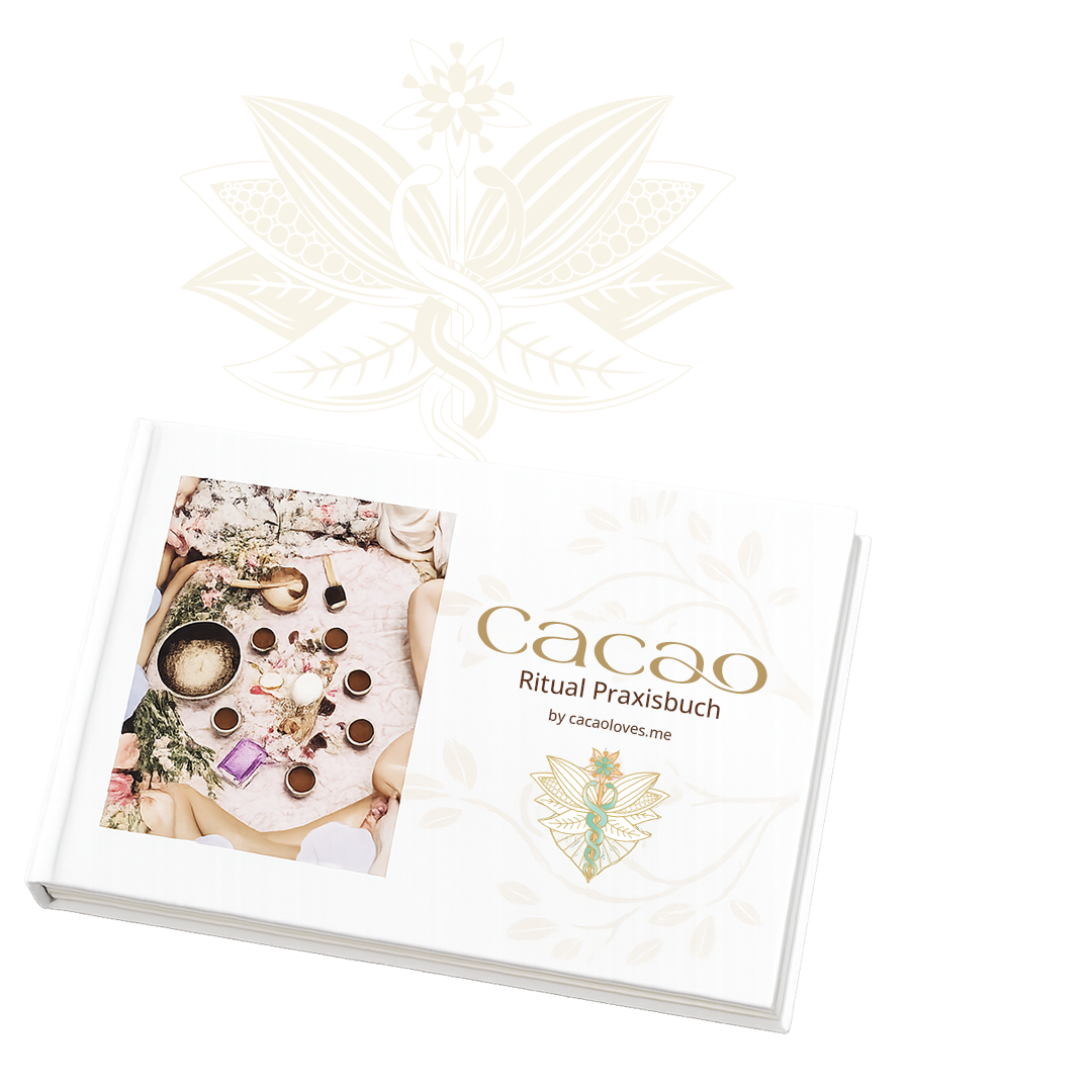 Cacao Praxisbuch