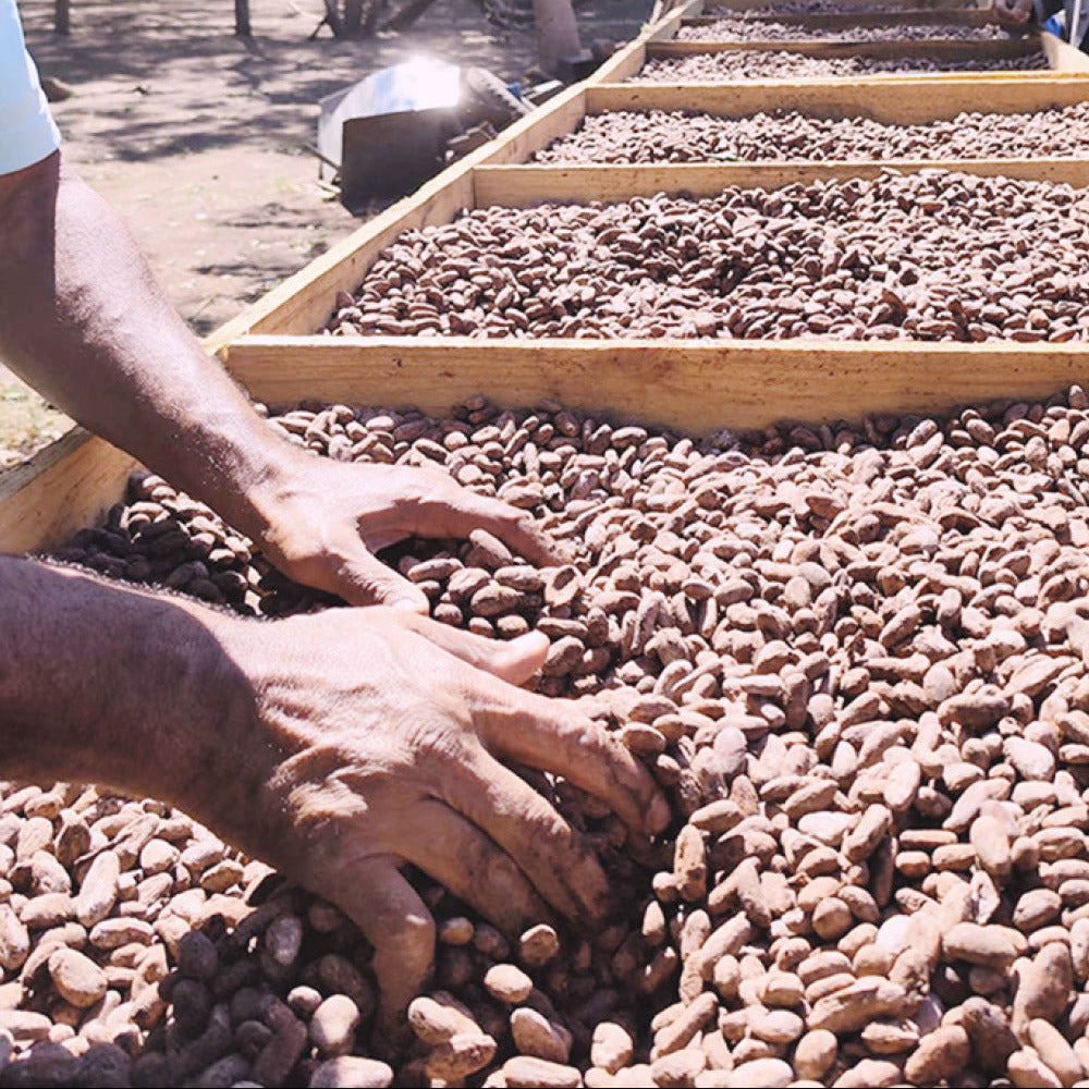 Flow Cacao – zeremonieller Kakao von Cacaolovesme