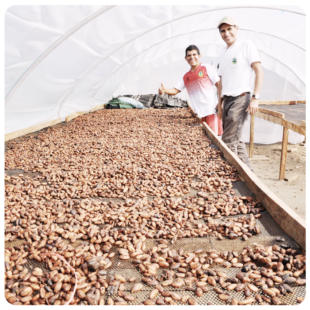 Body Cacao
