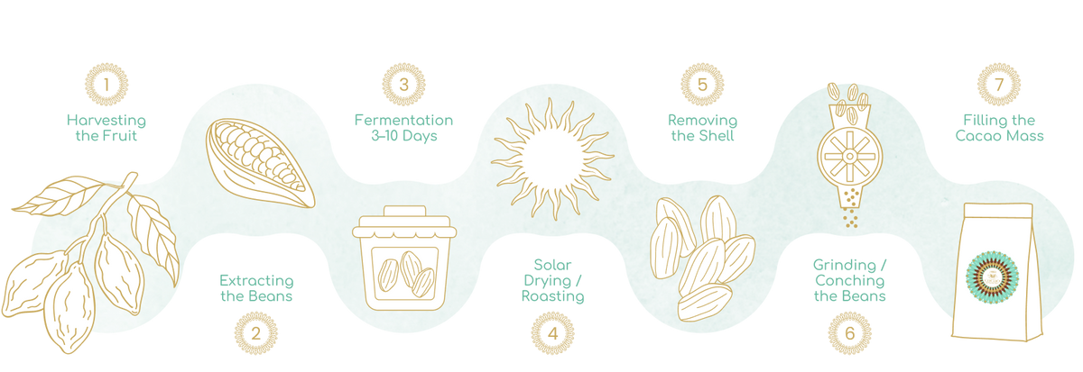 From Bean to Cup of Cacao - Cacao Manufacturing Cacaolovesme