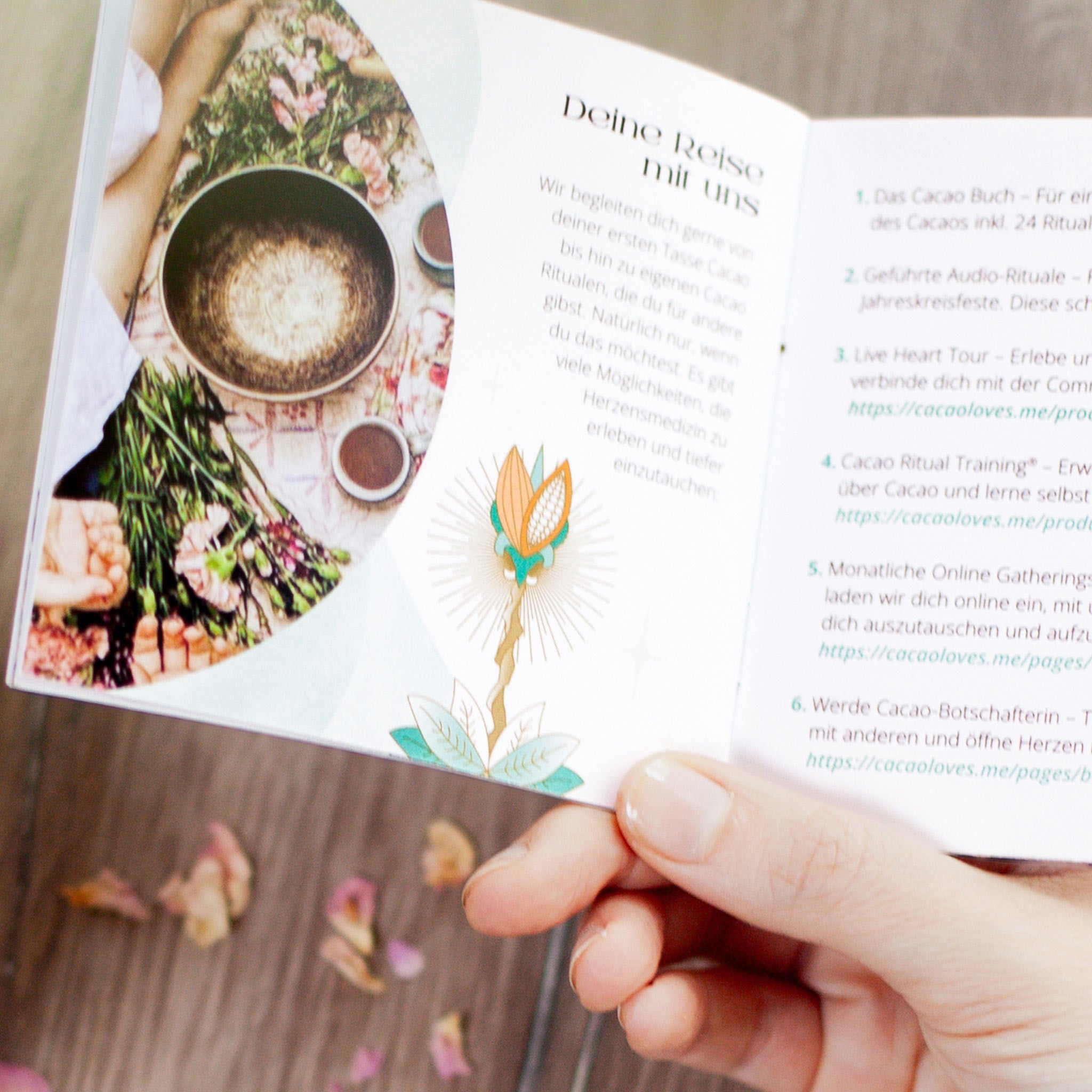 Cacao Booklet