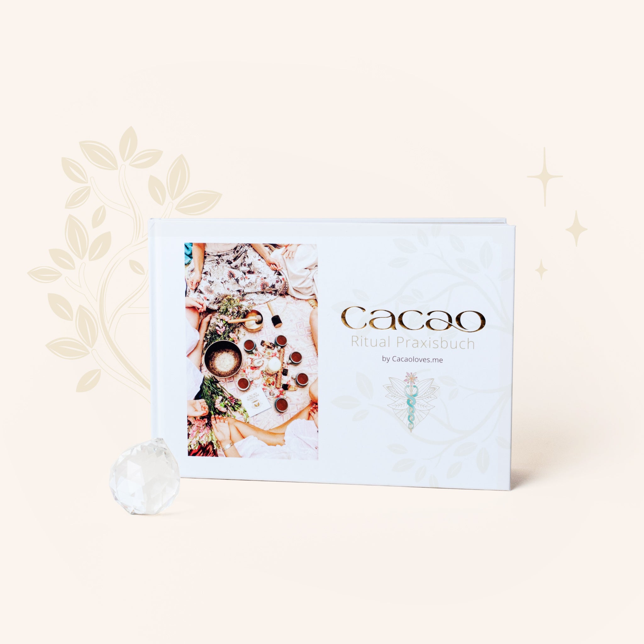 Cacao Praxisbuch von Cacaolovesme